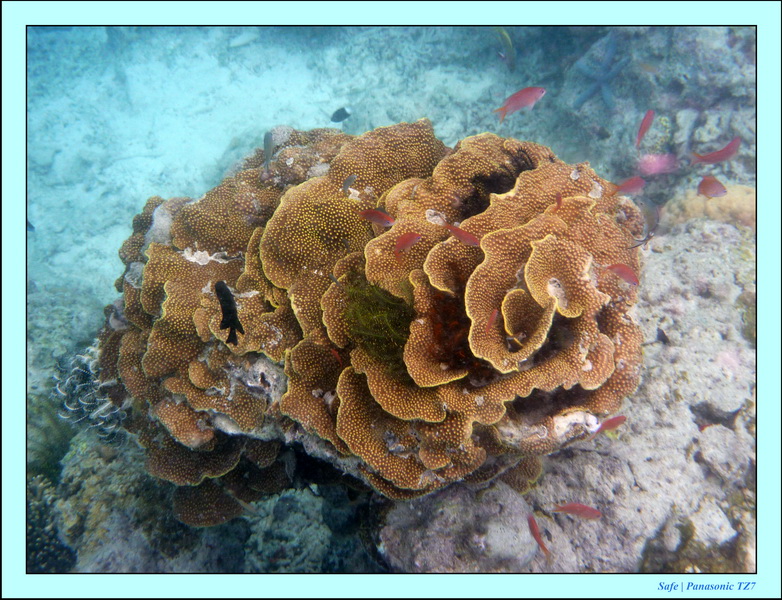 2009   07   Matakin 20